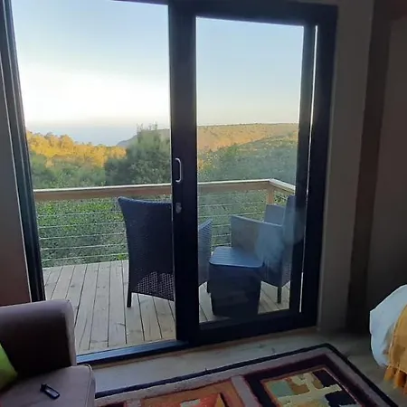 Oriole Serene Self Catering Studio George Exterior photo
