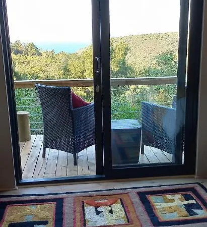 Oriole Serene Self Catering Studio George Exterior photo