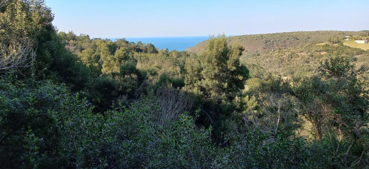 Oriole Serene Self Catering *